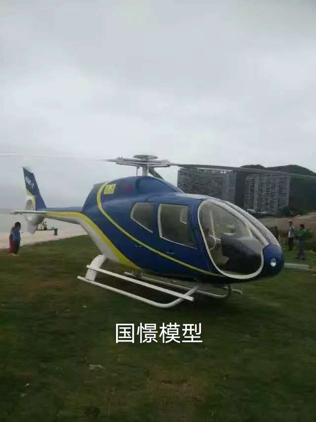 富宁xian飞机模型